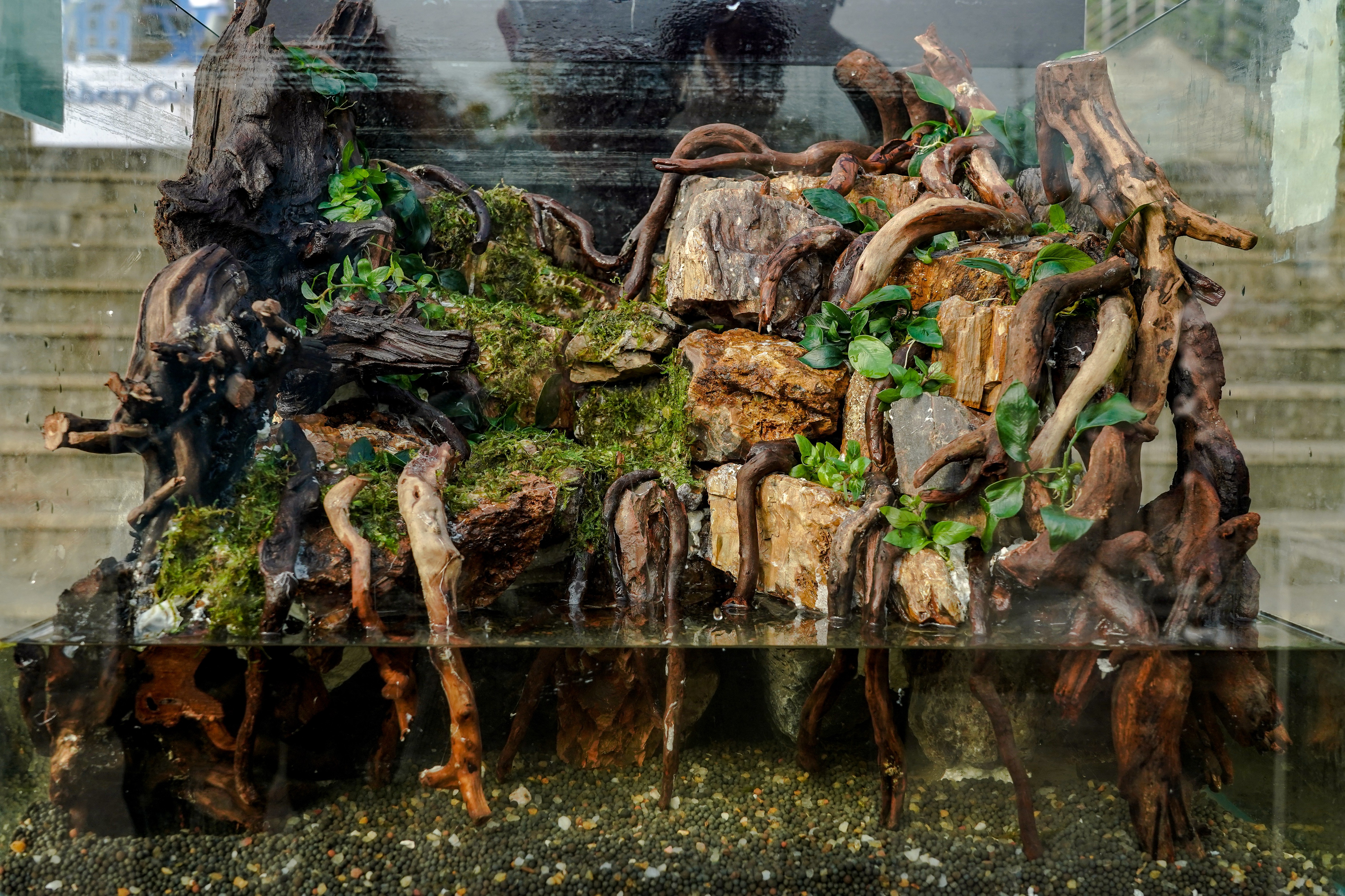 造景作品《崖洞》（东京热
记者 孙一享 摄）